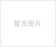 三旗SH8833超大流量 高压无气喷涂机